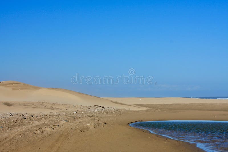 Strand op de kust van Zuid-Afrika stock afbeeldingen Strand op de kust van Zuid-Afrika stock afbeeldingen