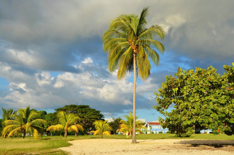 Beach Rancho Luna, close to Cienfuegos, Cuba. Beach Rancho Luna, close to Cienfuegos, Cuba