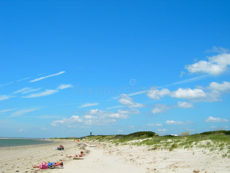 Strand In South Carolina Amerika Stockbild - Bild von sonne, ferien: 981355