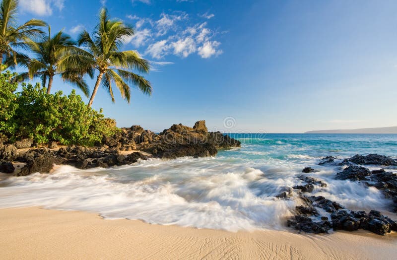 Strand tropisches Maui Hawaii stockbild Strand tropisches Maui Hawaii stockbild