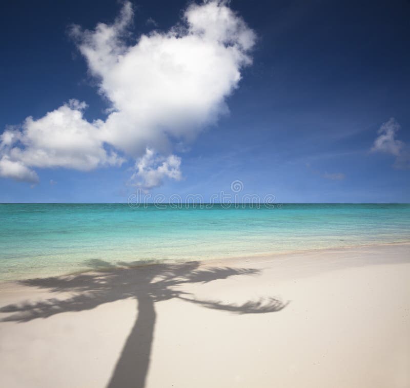 Strand- und Palmeschatten lizenzfreies stockbild Strand- und Palmeschatten lizenzfreies stockbild