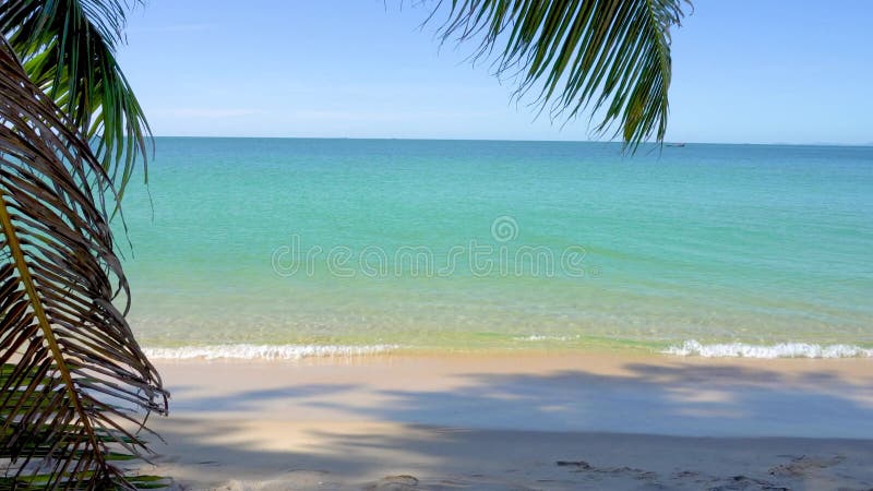 Strand in zuidoost - azië. palmbomen en blauwe zee , heilzaam plaats