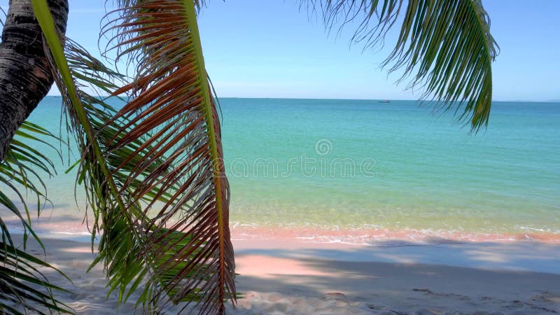 Strand in zuidoost - azië. palmbomen en blauwe zee , heilzaam plaats