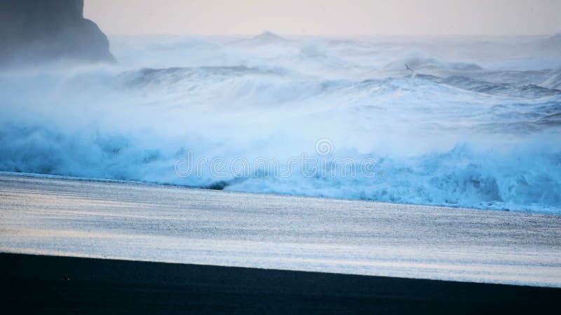 Strand zwart oceaanijsland