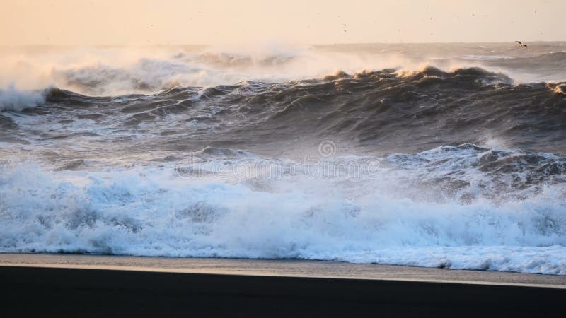 Strand zwart oceaanijsland