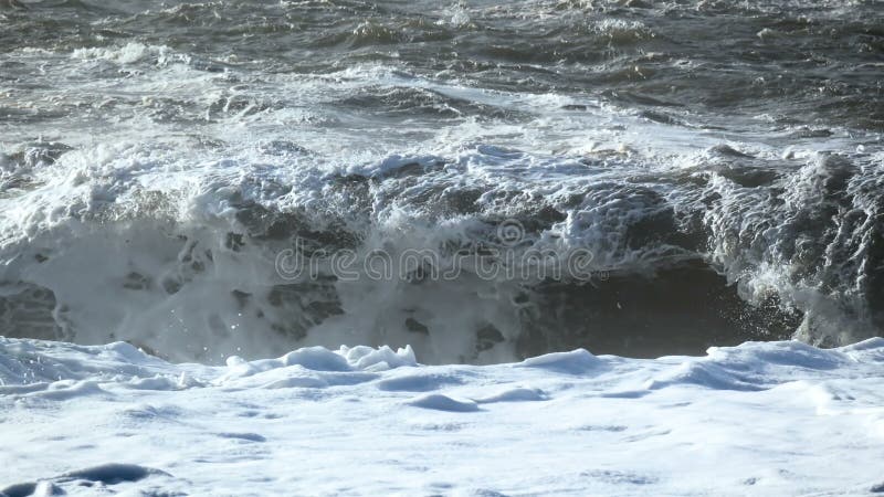 Strand zwart oceaanijsland