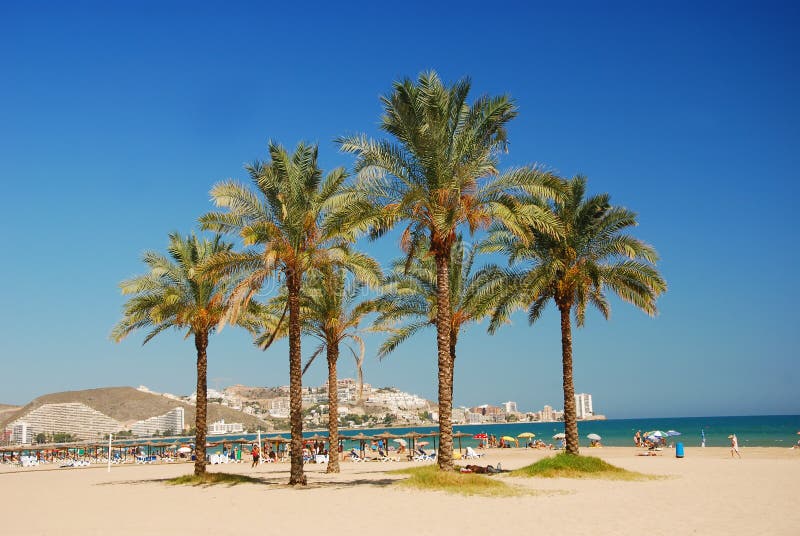 Stranden cullera gömma i handflatan valencia royaltyfria bilder