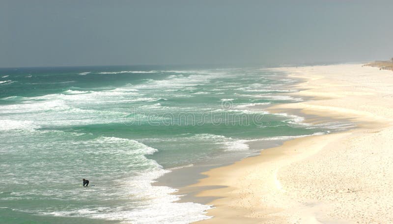 strandflorida lone pensacola surfare arkivbild strandflorida lone pensacola surfare arkivbild