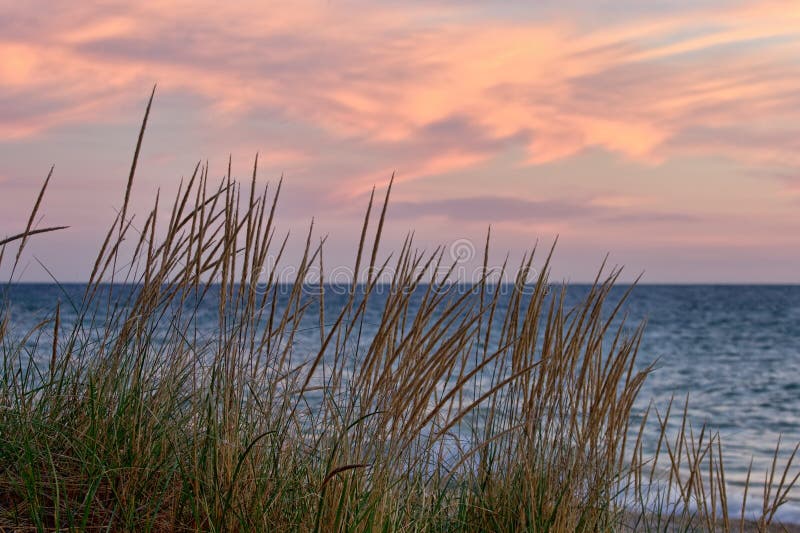 StrandgräsLake Michigan solnedgång royaltyfri foto StrandgräsLake Michigan solnedgång royaltyfri foto