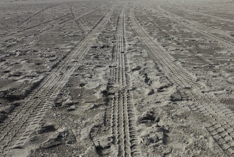 Tire wheel path track in beach. Tire wheel path track in beach