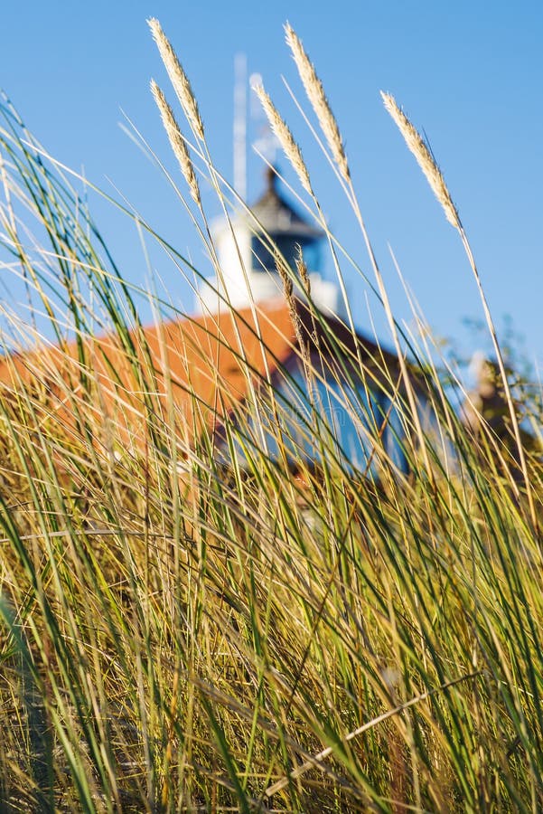 Beach grass with old lighthouse and blue sky. Beach grass with old lighthouse and blue sky