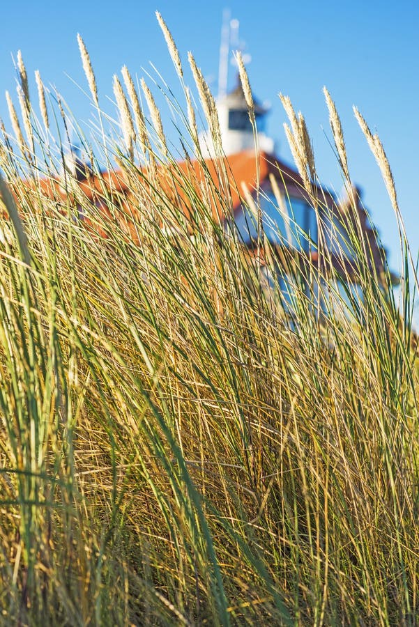 Beach grass with old lighthouse and blue sky. Beach grass with old lighthouse and blue sky