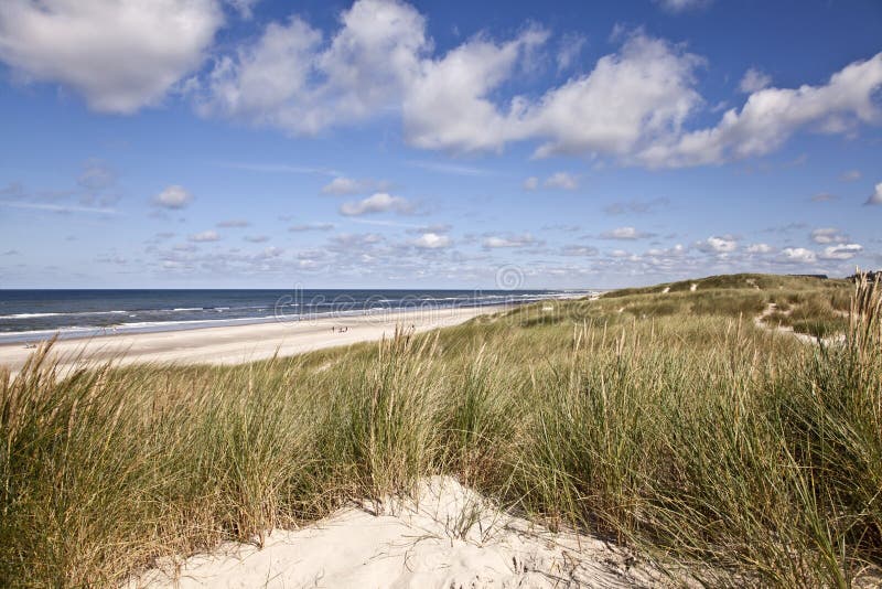 Strandmening royalty-vrije stock afbeeldingen Strandmening royalty-vrije stock afbeeldingen