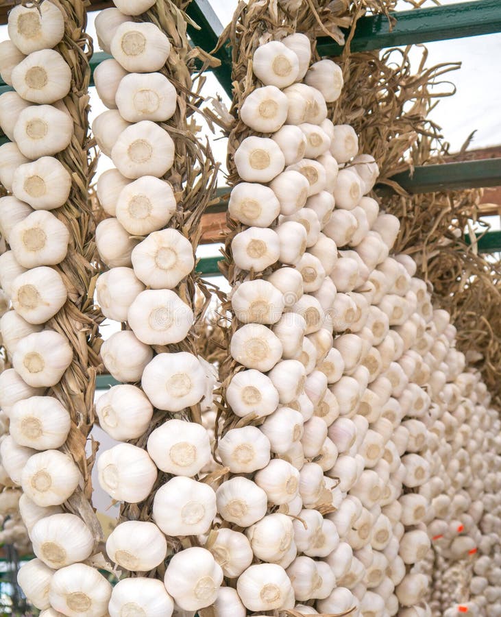 strands-garlic-hanging-awaiting-purchase-local-market-32606776.jpg