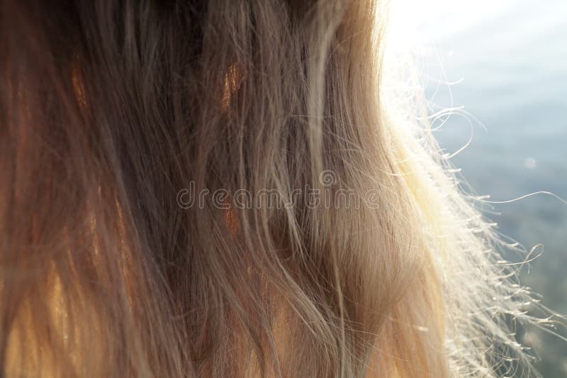 Strands of light stock photo. Image of underwaterworld 1501116