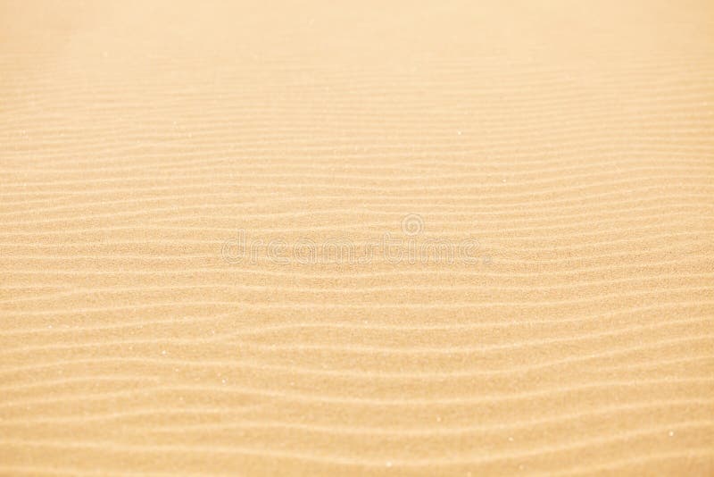 Sand texture background. Shallow DOF. Sand texture background. Shallow DOF