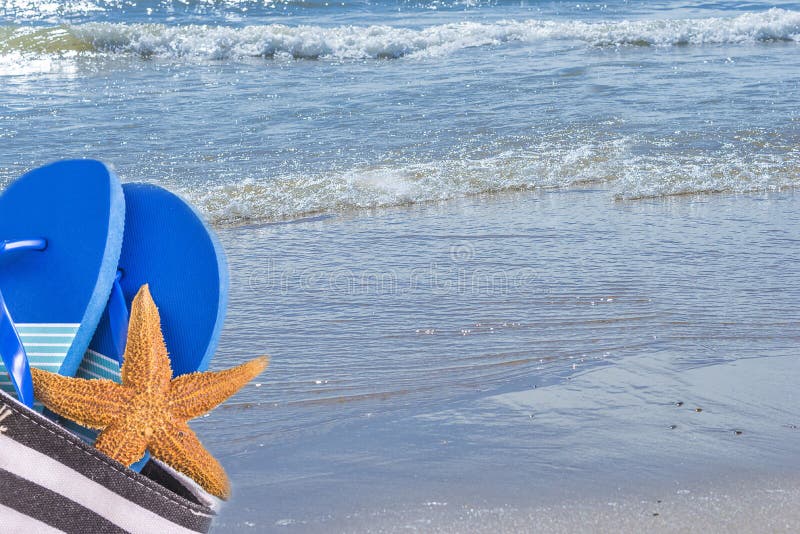 Strandzak met blauwe tong en zeester op de mooie oceaan royalty-vrije stock afbeelding Strandzak met blauwe tong en zeester op de mooie oceaan royalty-vrije stock afbeelding