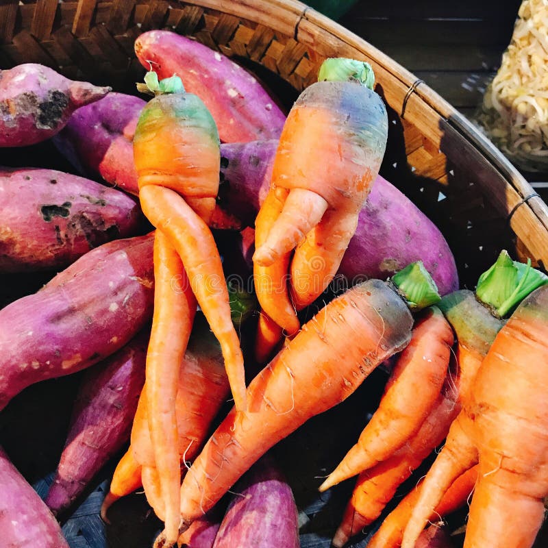 Carrot that looks like a person with their legs crossed. : r