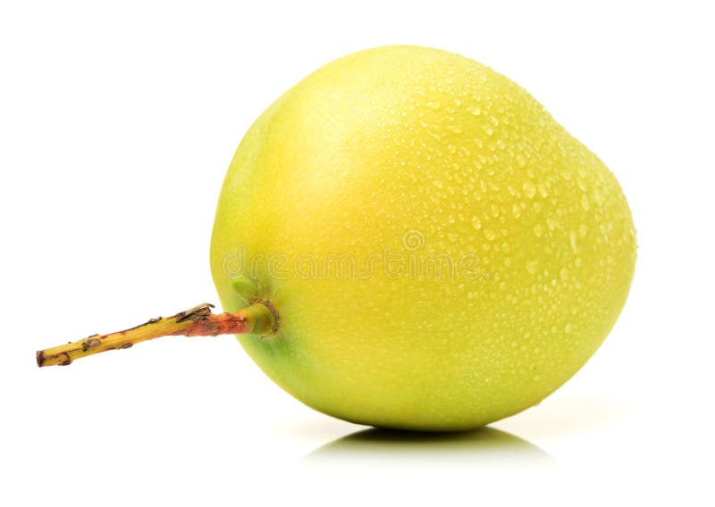 Strappo del mango immagini stock libere da diritti Strappo del mango immagini stock libere da diritti