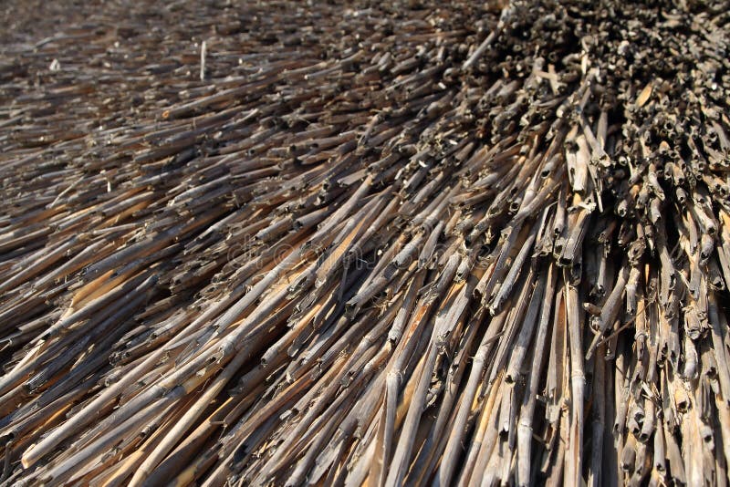 Straw stock photo