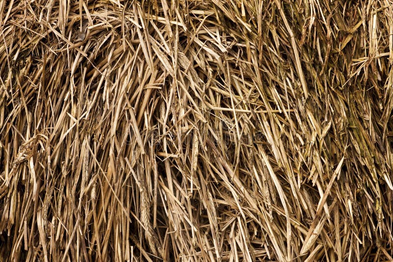 Straw stock photo. Image of pattern, photograph, brown 16311596