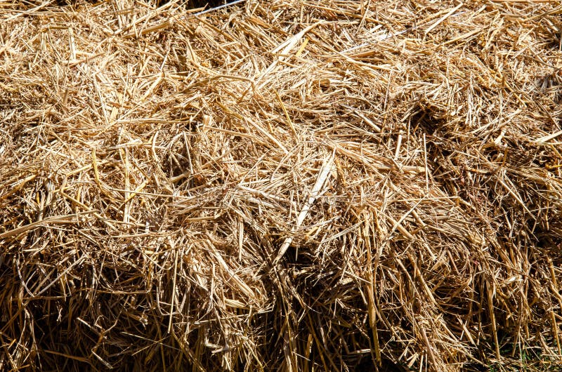 Straw bale background drying royalty free stock photos