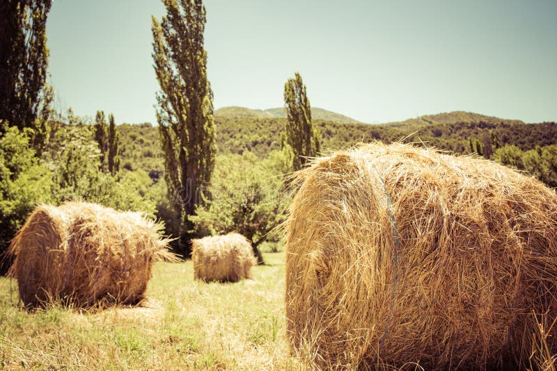 Straw bale stock photo. Image of alps, corn, organic 84728876