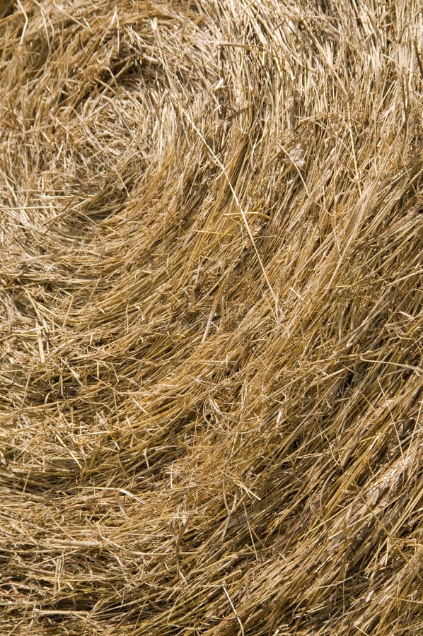 Straw Bale Texture