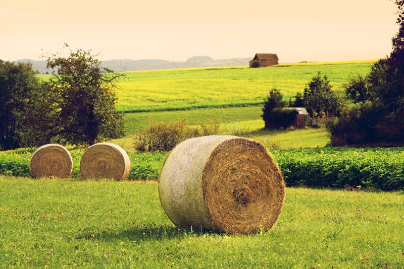 Straw bales