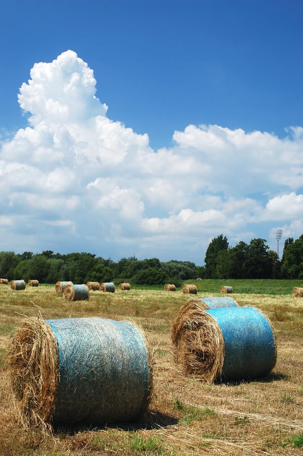 Straw Bales Picture. Image 2612285