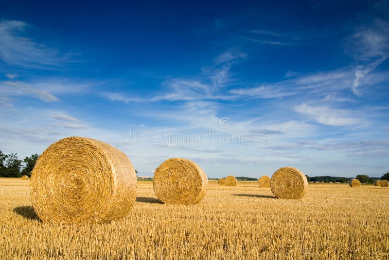 Straw bales