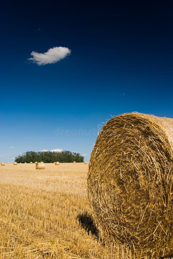 Straw bales