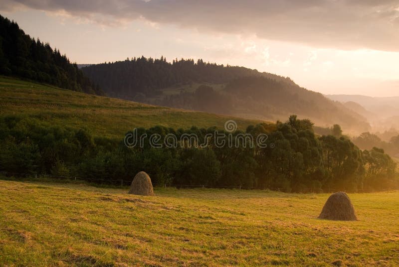 Straw bales