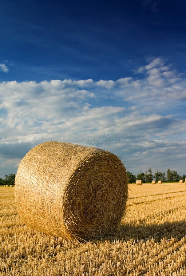 Straw bales