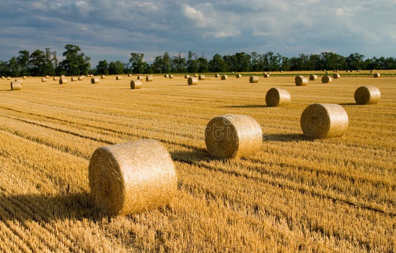 Straw bales