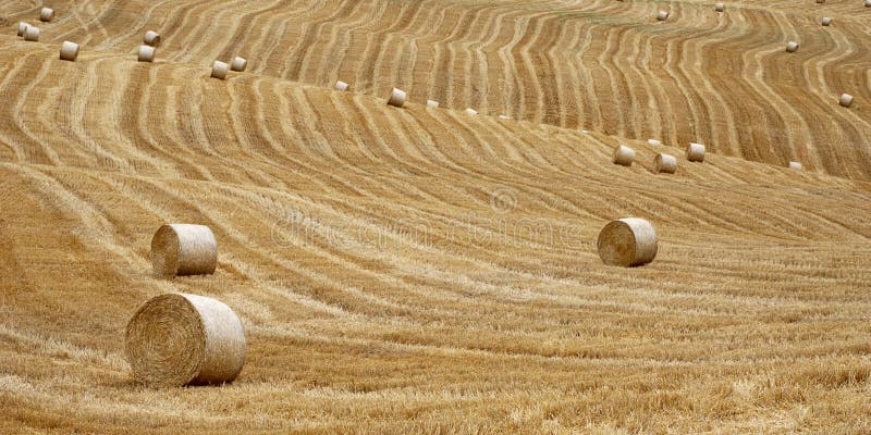 Straw Bales