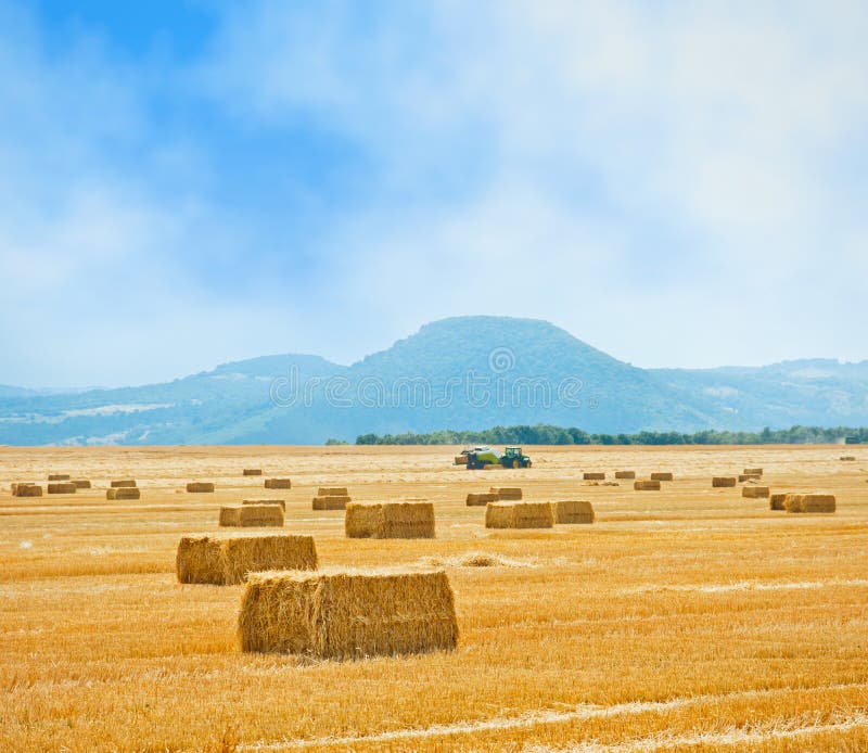 Straw bales on farmland stock image. Image of grass, scenic 20624147