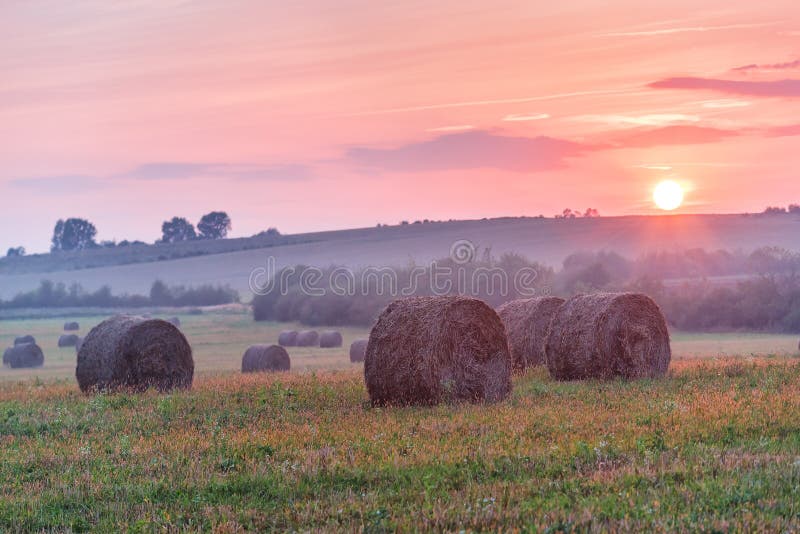 Straw bales on sunset stock photo. Image of package 101030926