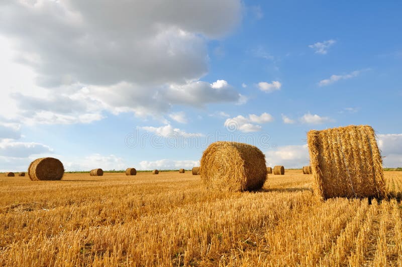 Straw bales