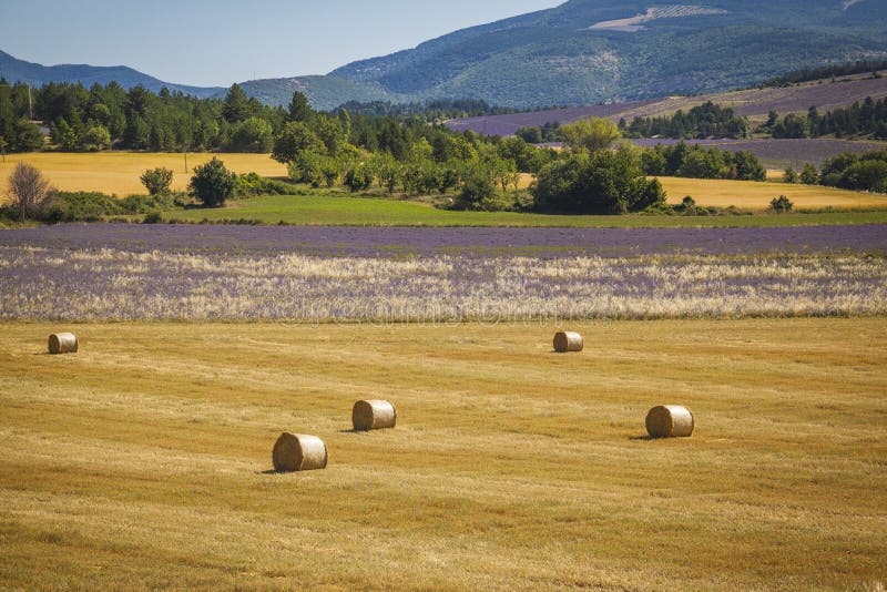Straw Bales Provence France Stock Photo Image of bale, straw 57323868