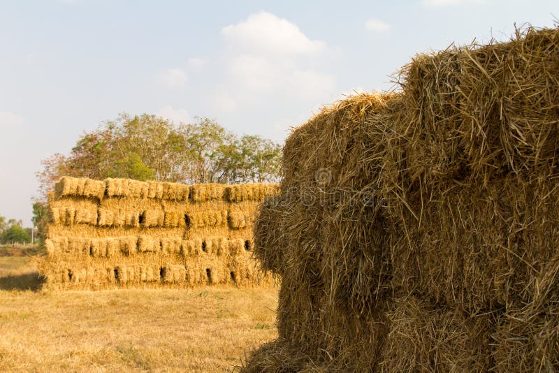 Straw bales