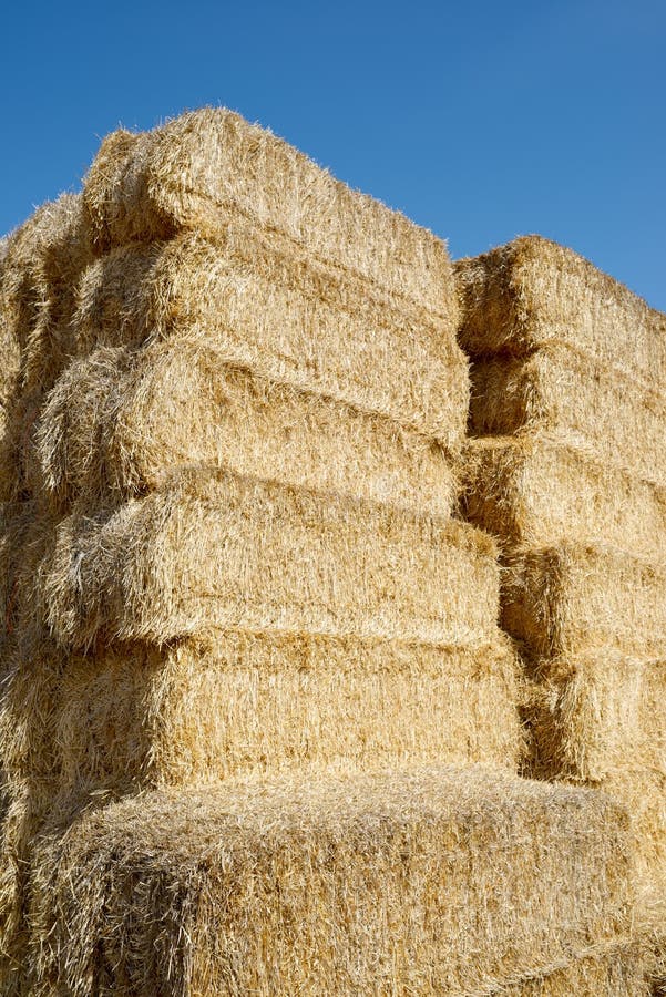 Straw bales close up stock image. Image of country, bail 116260757