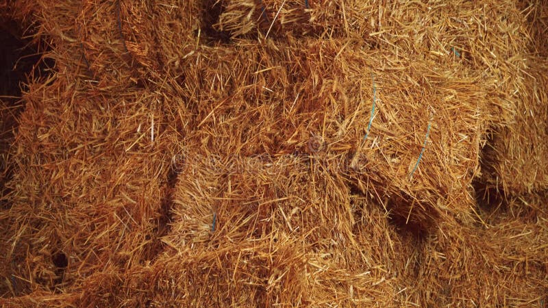 Straw bales are in stock