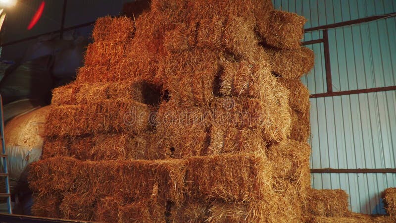 Straw bales are in stock