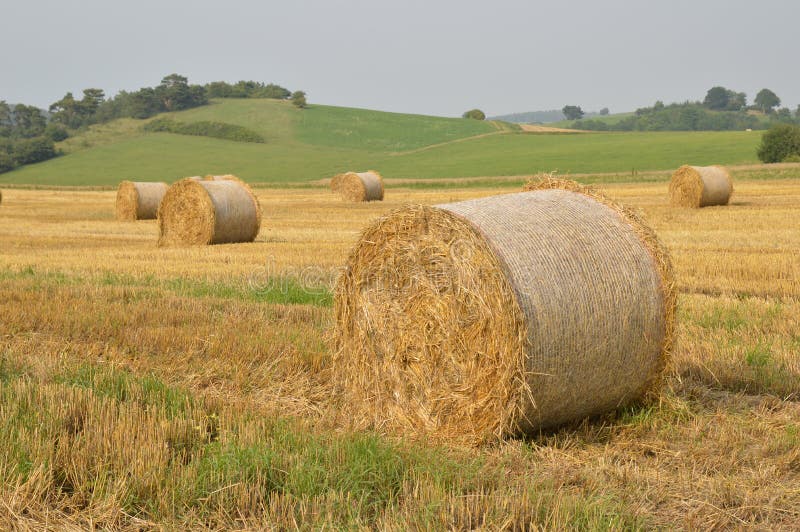 Straw balls stock photo. Image of farmland, europe, agricultural - 57903912