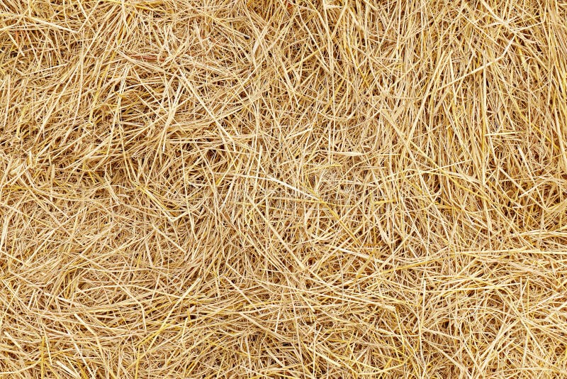 Straw, Dry Straw, Hay Straw Yellow Background Texture Stock Photo - Image  of feed, farm: 112238112