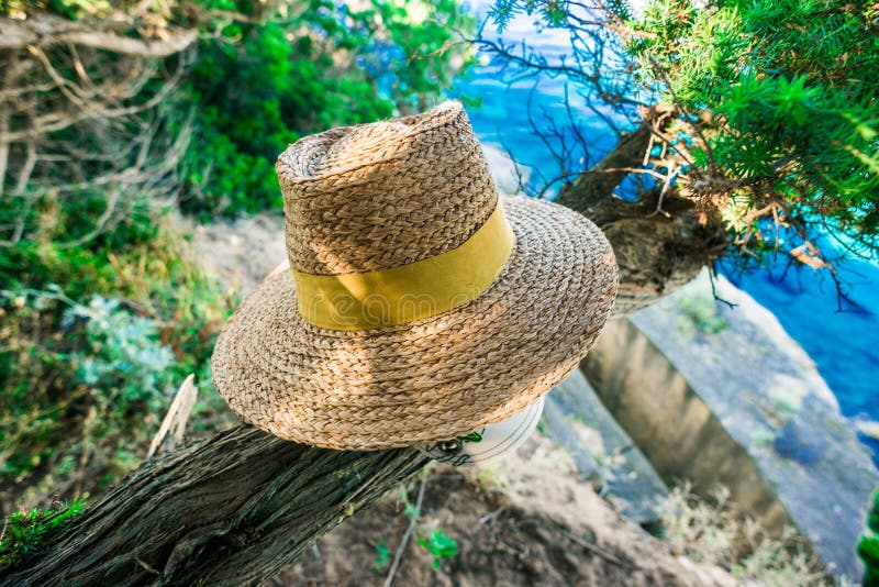 Straw StockFotos Laden Sie 3,137 RoyaltyFree Fotos herunter