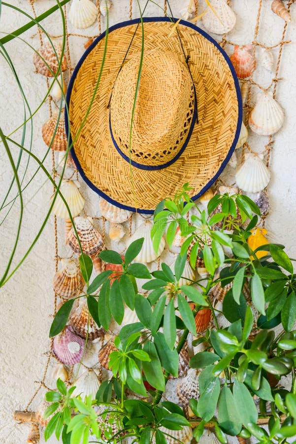 Straw Hat and Seashells Hanging on Wall Stock Photo Image of design