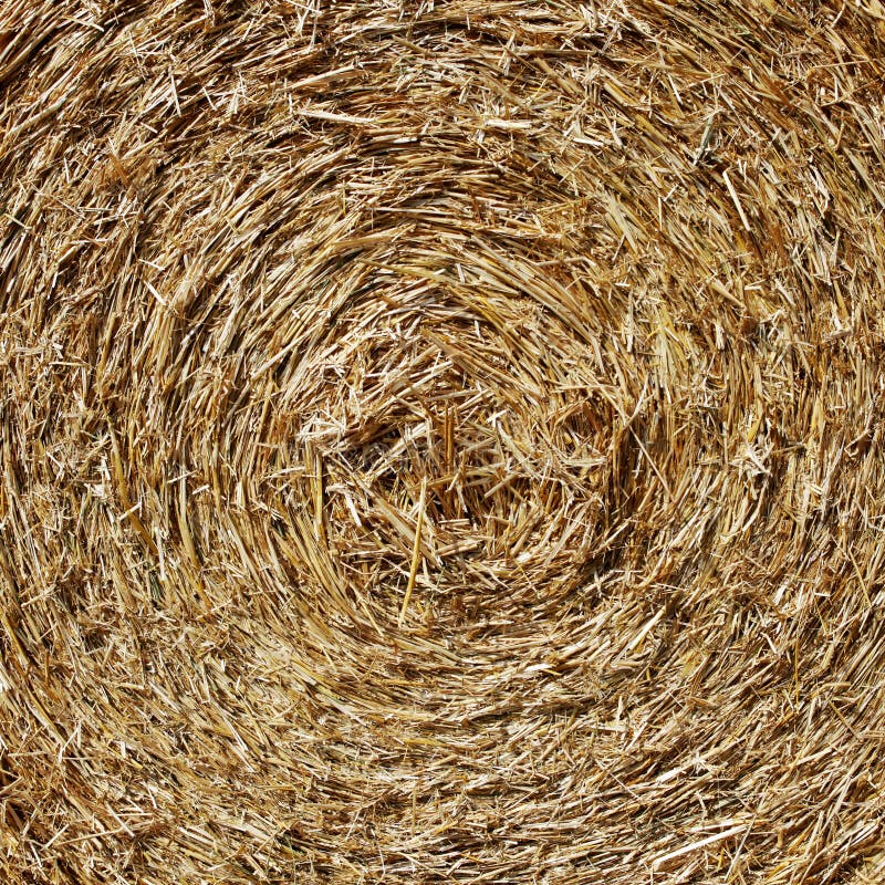 Straw hay stock photo. Image of background, harvest, cereal - 26876216