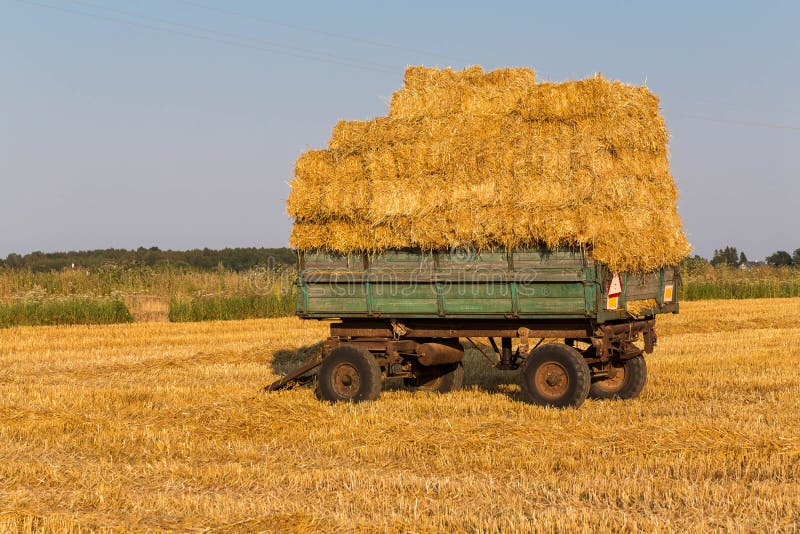 Straw Hay Bales on a Trailer Stock Image Image of meadow, carriage